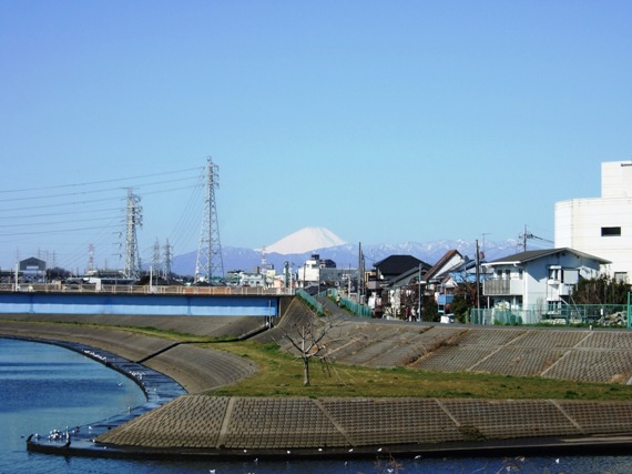 [2008.03.06] 鷹野大橋からの富士山-2.jpg