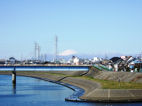 [2008.03.06] 鷹野大橋からの富士山-4.jpg