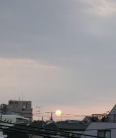 朝陽.JPG